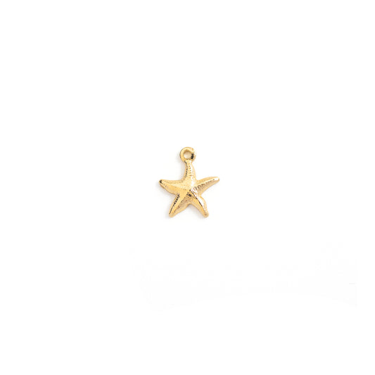 Mini Starfish Charm