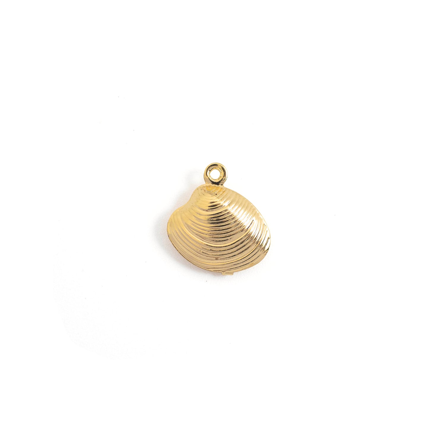 Shell Charm